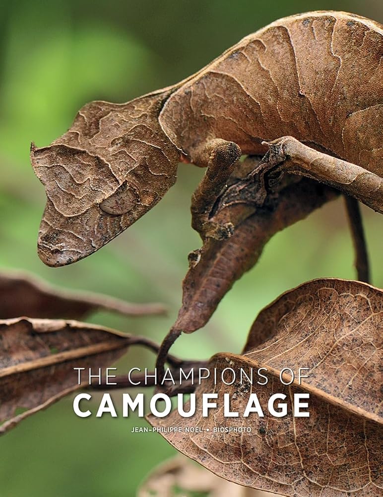 The Champions of Camouflage cover image