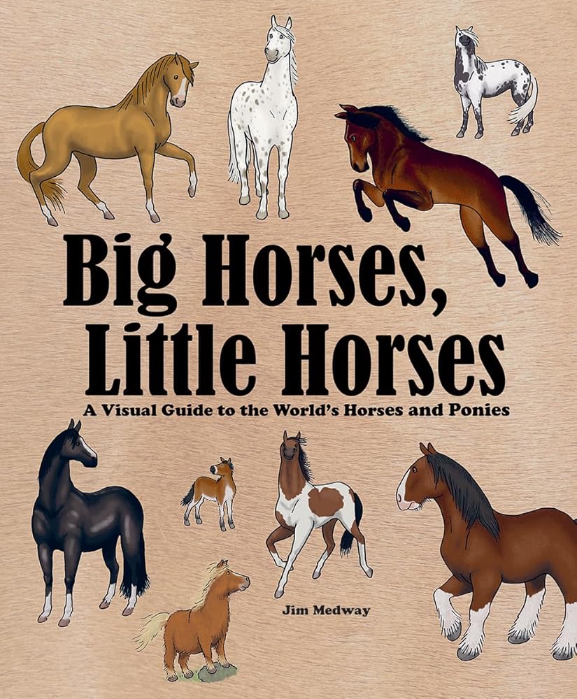 Big Horses, Little Horses: A Visual Guide to the World's Horses and Ponies (Big and Little) cover image