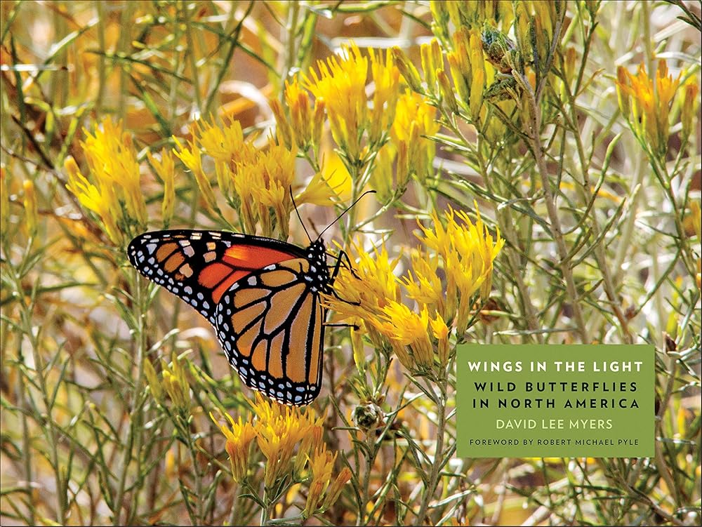 Wings in the Light: Wild Butterflies in North America cover image