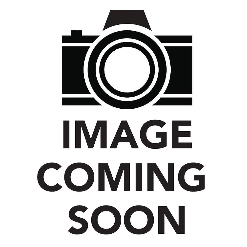 Lincoln, Life-Size cover image