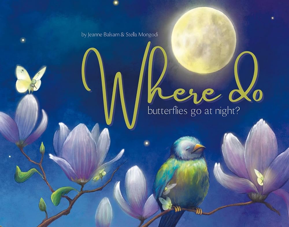 Where Do Butterflies Go At Night? cover image