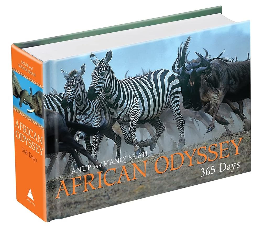 African Odyssey: 365 Days cover image