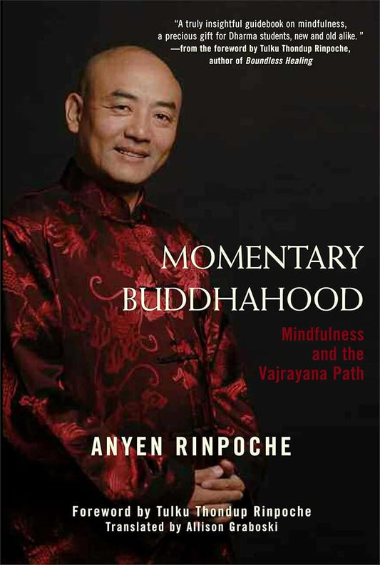 Momentary Buddhahood: Mindfulness and the Vajrayana Path cover image