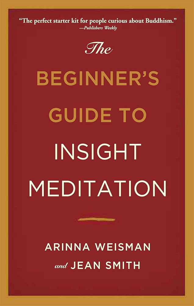 The Beginner's Guide to Insight Meditation cover image