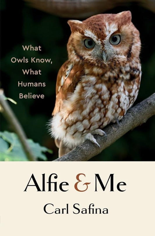 Alfie and Me: What Owls Know, What Humans Believe cover image