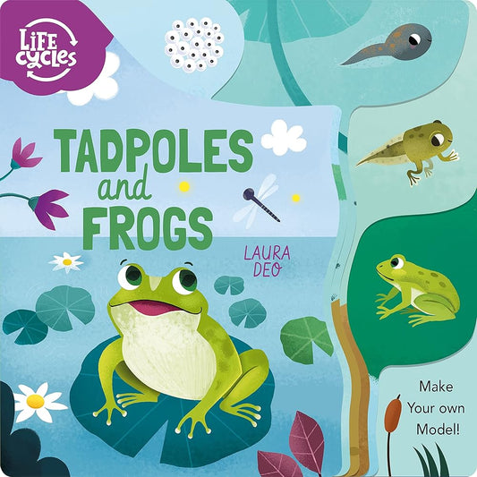 Life Cycles: Tadpoles and Frogs: Make Your Own Model! (Life Cycles, 2) cover image