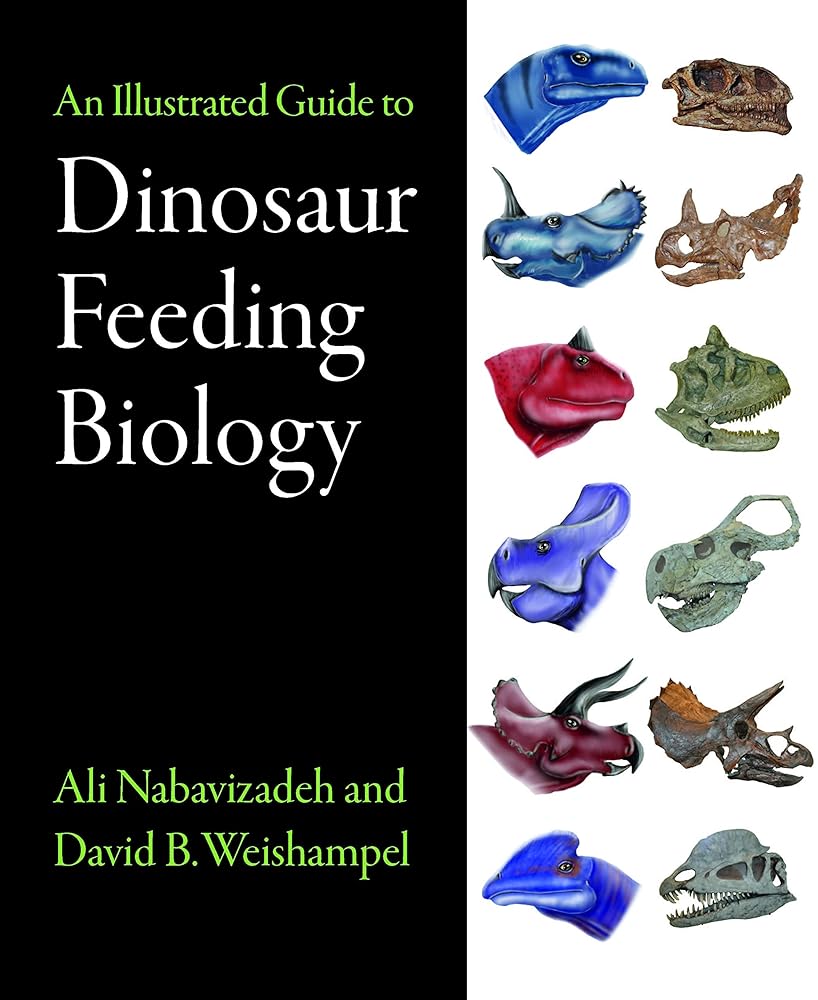 An Illustrated Guide to Dinosaur Feeding Biology cover image