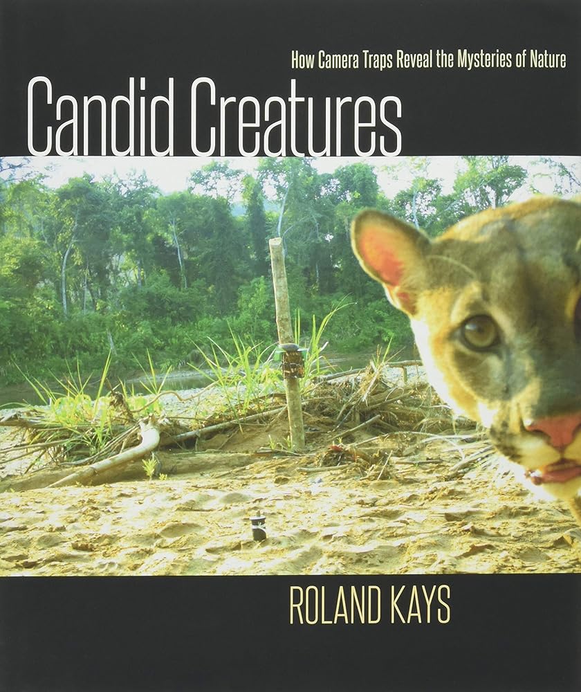 Candid Creatures: How Camera Traps Reveal the Mysteries of Nature cover image