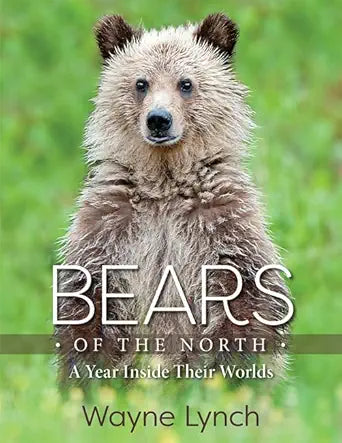 Bears of the North: A Year Inside Their Worlds cover image