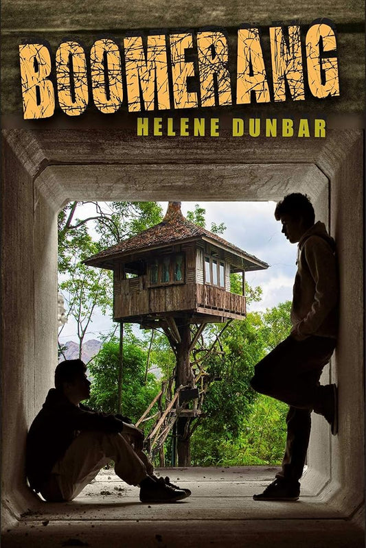 Boomerang cover image
