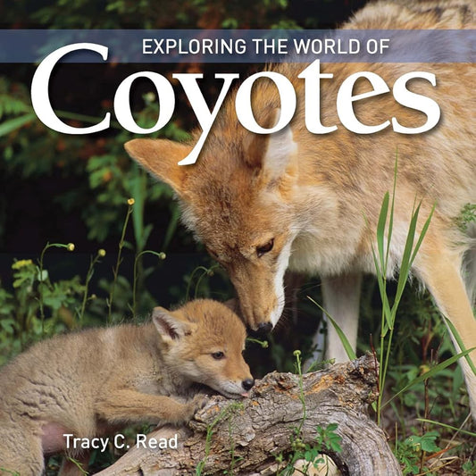 Exploring the World of Coyotes cover image