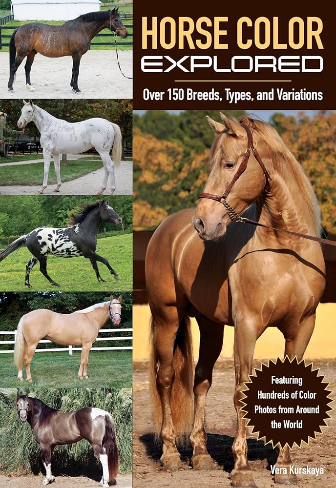Horse Color Explored cover image