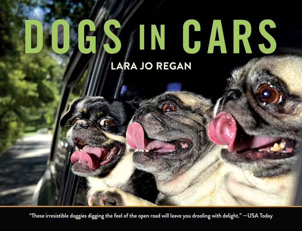 Dogs in Cars cover image