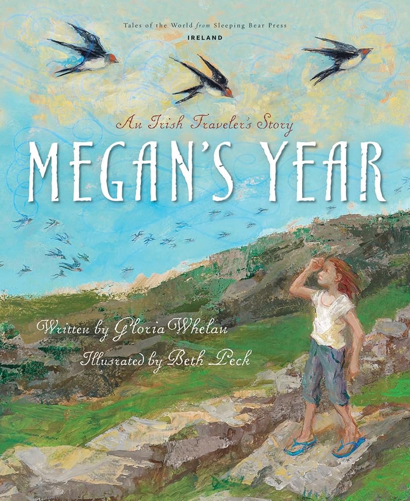 Megan's Year: An Irish Traveler's Story (Tales of the World) cover image