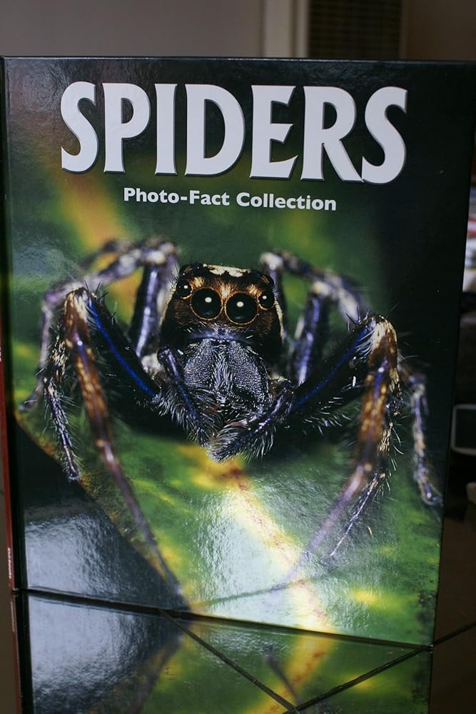 Spiders (Photo-Fact Collection Series) cover image