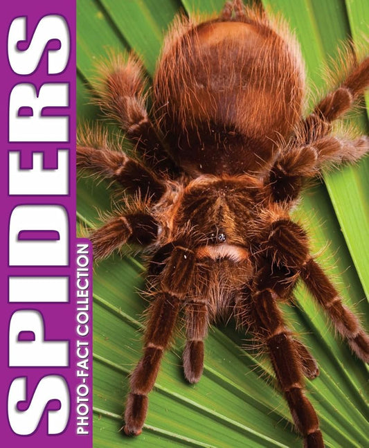 Spiders Photo Fact Collection cover image