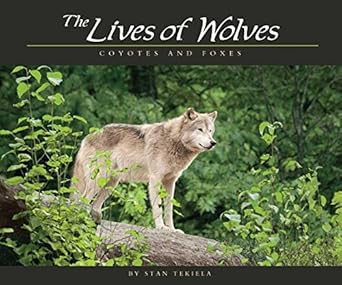Lives of Wolves, Coyotes and Foxes (Wildlife Appreciation) cover image