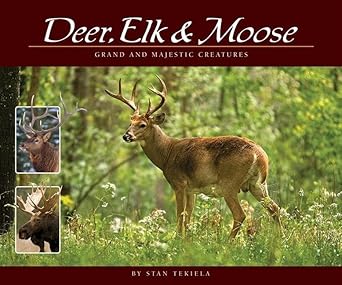 Deer, Elk & Moose: Grand and Majestic Creatures (Wildlife Appreciation) cover image
