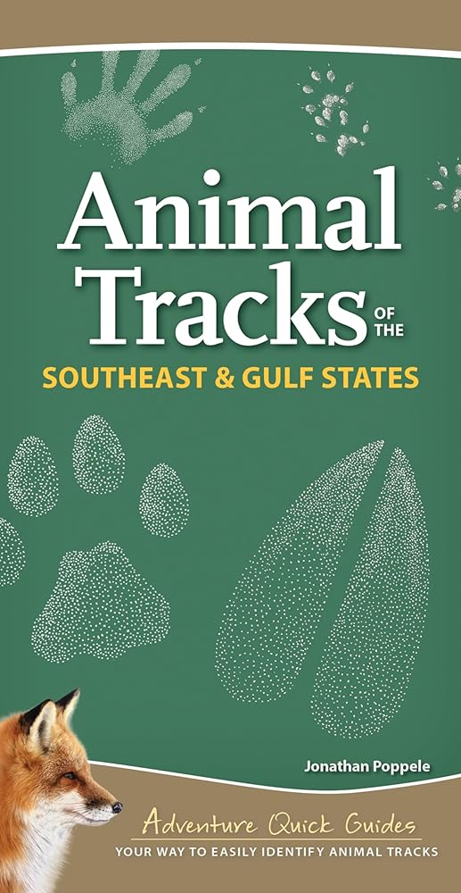 Animal Tracks of the Southeast & Gulf States: Your Way to Easily Identify Animal Tracks (Adventure Quick Guides) cover image