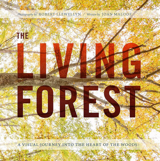 The Living Forest: A Visual Journey Into the Heart of the Woods cover image