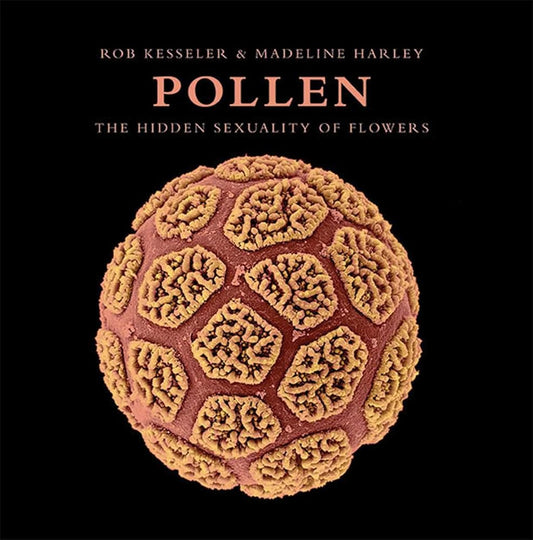 Pollen: The Hidden Sexuality of Flowers cover image