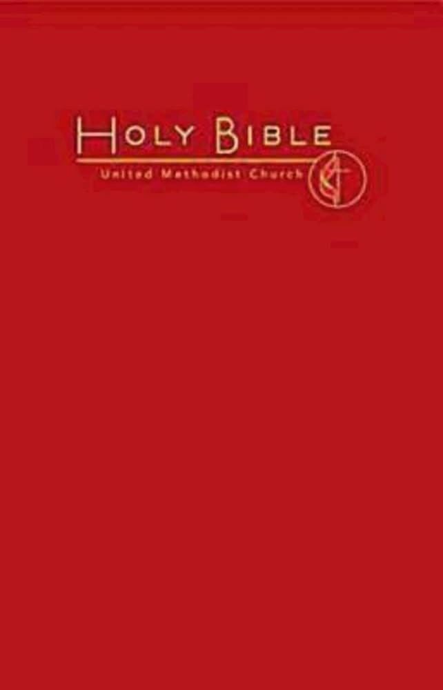 Holy Bible-CEB-Cross & Flame cover image