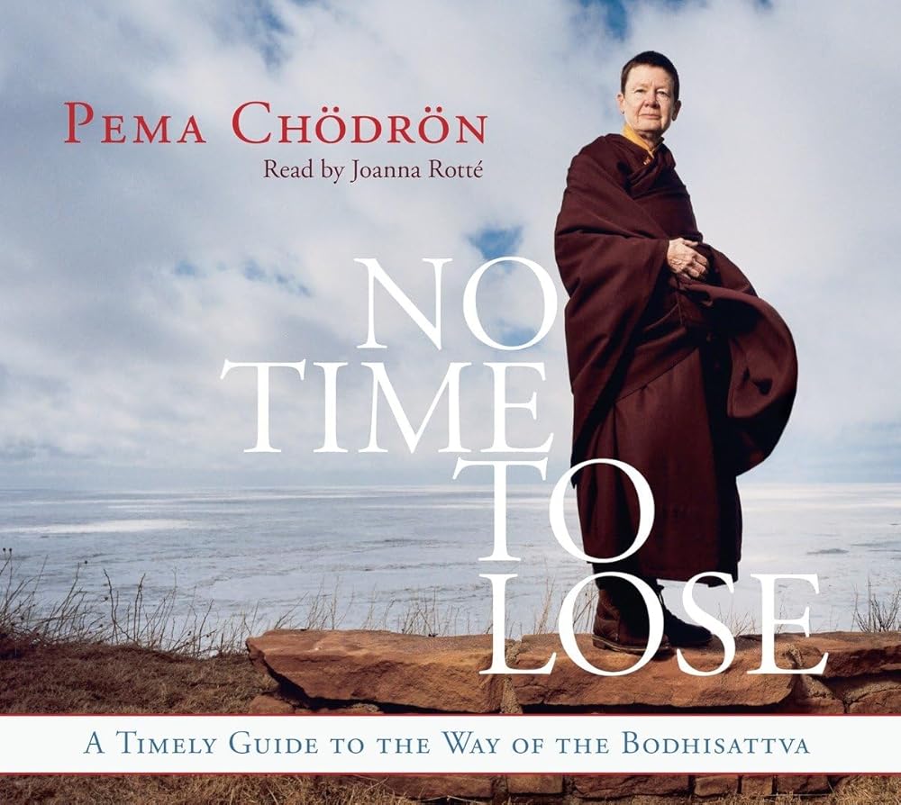 No Time to Lose: A Timely Guide to the Way of the Bodhisattva cover image