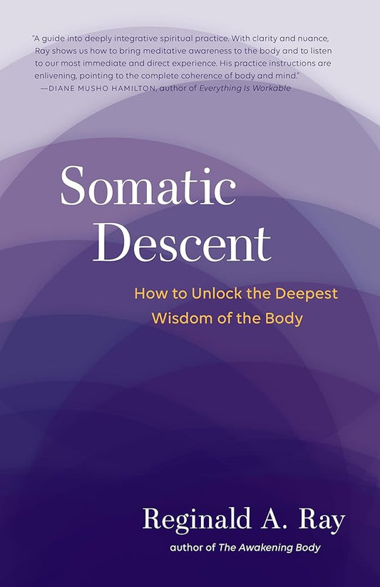 Somatic Descent: How to Unlock the Deepest Wisdom of the Body cover image