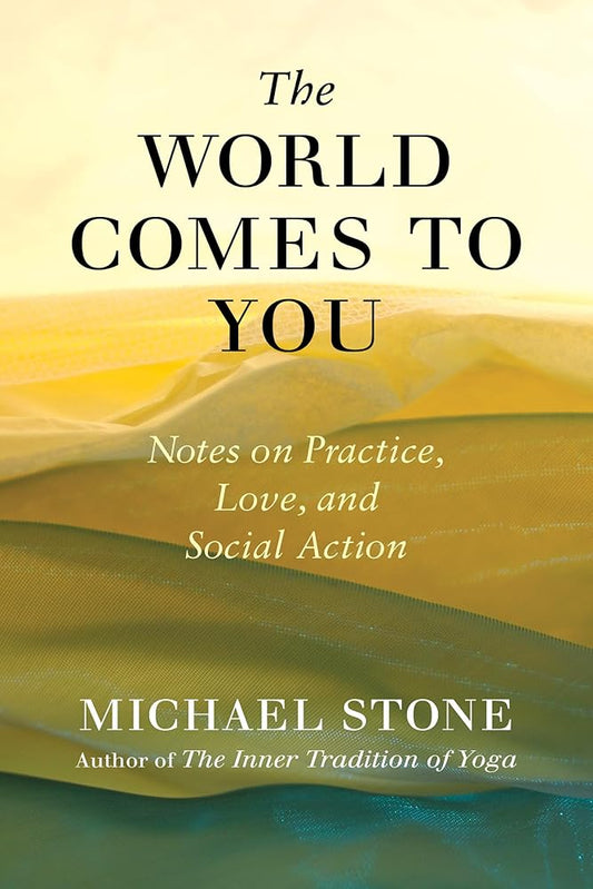 The World Comes to You: Notes on Practice, Love, and Social Action cover image