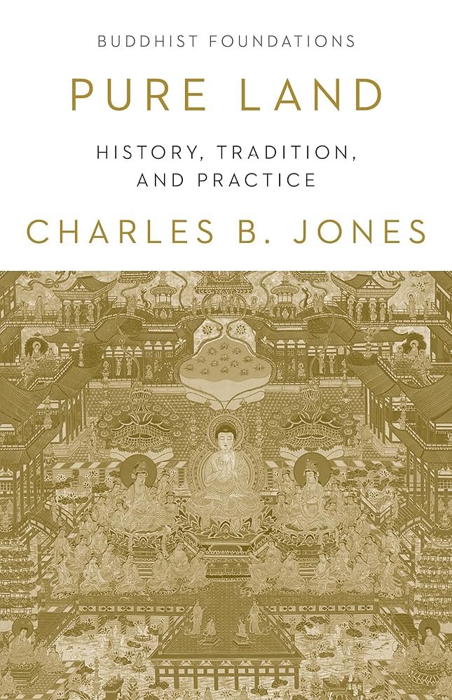 Pure Land: History, Tradition, and Practice (Buddhist Foundations) cover image