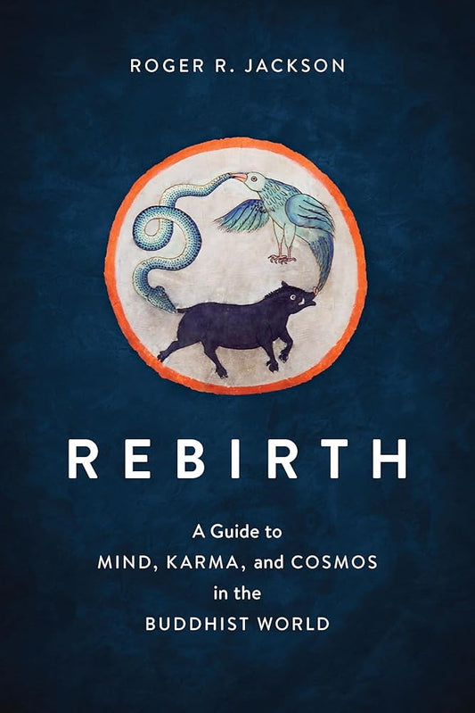 Rebirth: A Guide to Mind, Karma, and Cosmos in the Buddhist World cover image