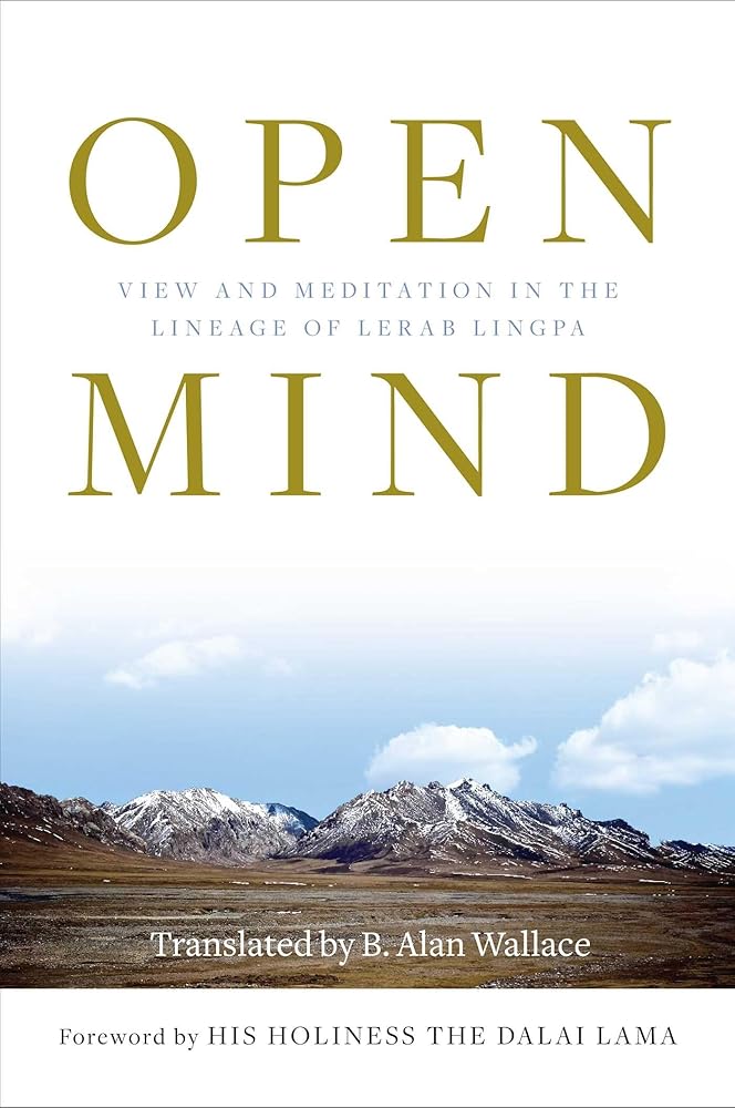 Open Mind: View and Meditation in the Lineage of Lerab Lingpa cover image
