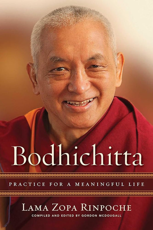 Bodhichitta: Practice for a Meaningful Life cover image