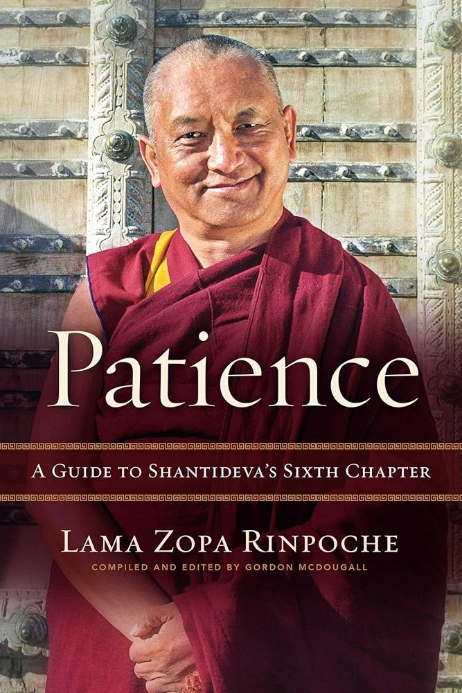 Patience: A Guide to Shantideva's Sixth Chapter cover image