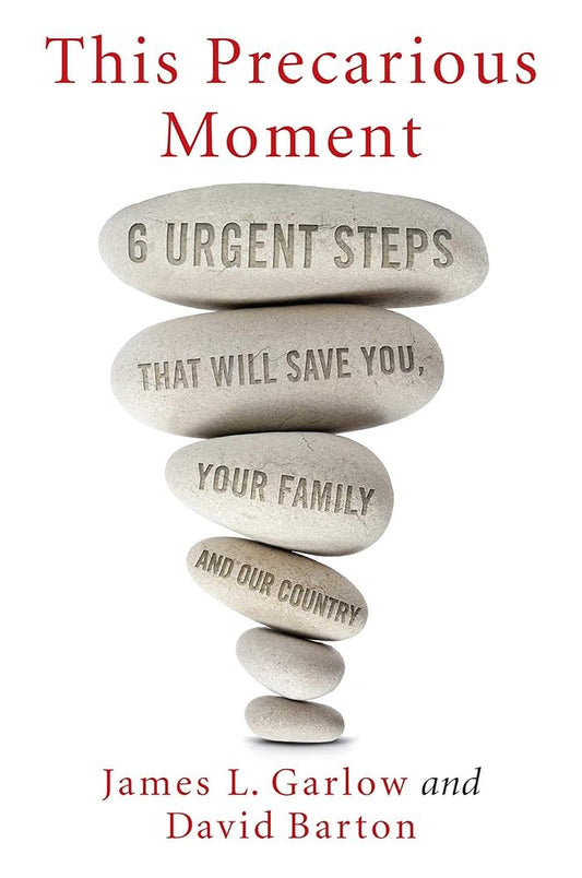 This Precarious Moment: Six Urgent Steps that Will Save You, Your Family, and Our Country cover image
