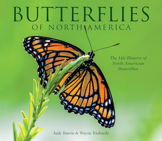 Butterflies of North America cover image