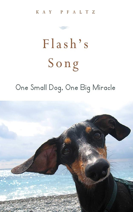 Flash's Song: How One Small Dog Turned into One Big Miracle cover image