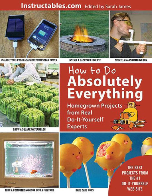 How to Do Absolutely Everything: Homegrown Projects from Real Do-It-Yourself Experts cover image