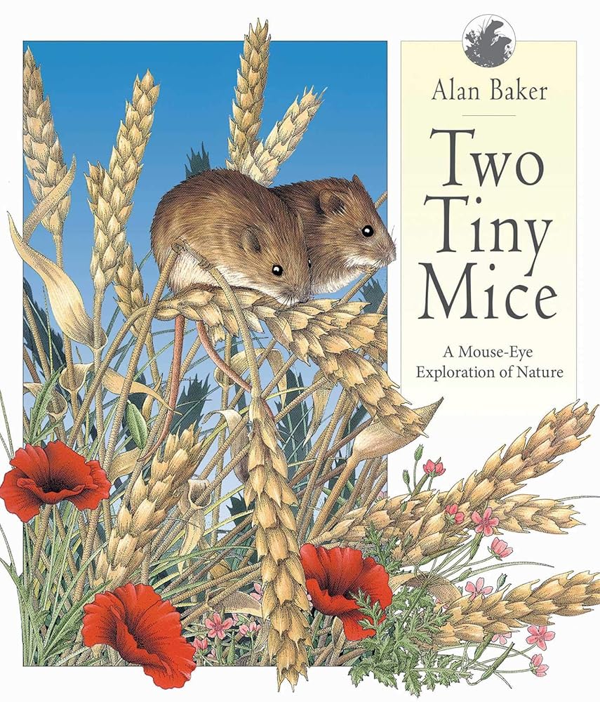 Two Tiny Mice: A Mouse-Eye Exploration of Nature cover image