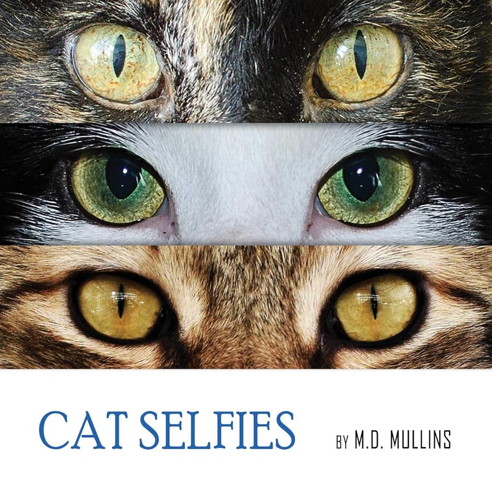 Cat Selfies cover image