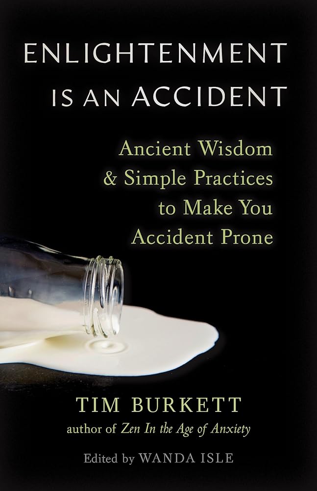 Enlightenment Is an Accident: Ancient Wisdom and Simple Practices to Make You Accident Prone cover image