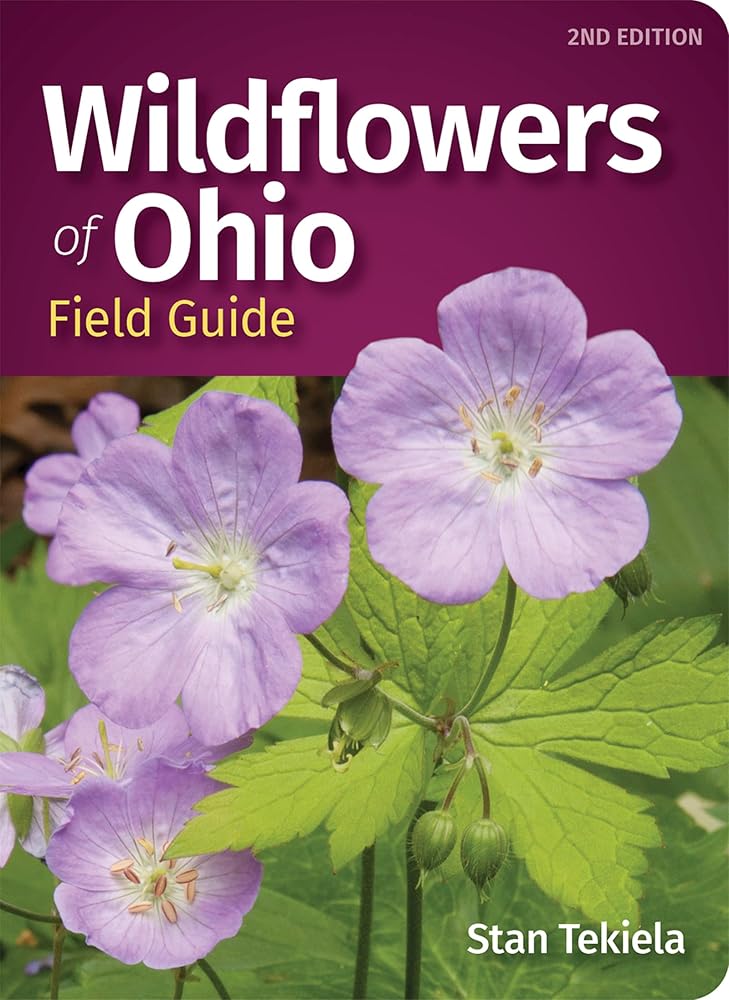 Wildflowers of Ohio Field Guide (Wildflower Identification Guides) cover image