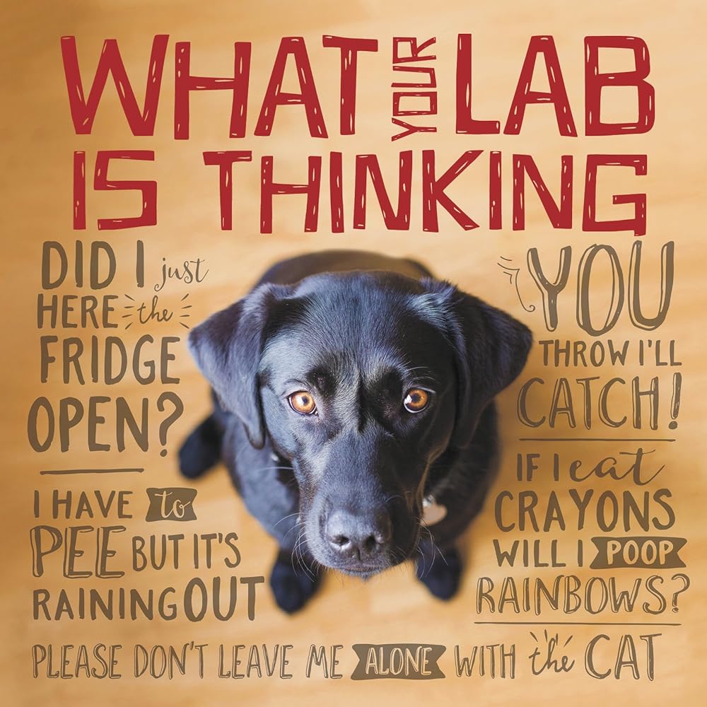 What Your Lab is Thinking cover image