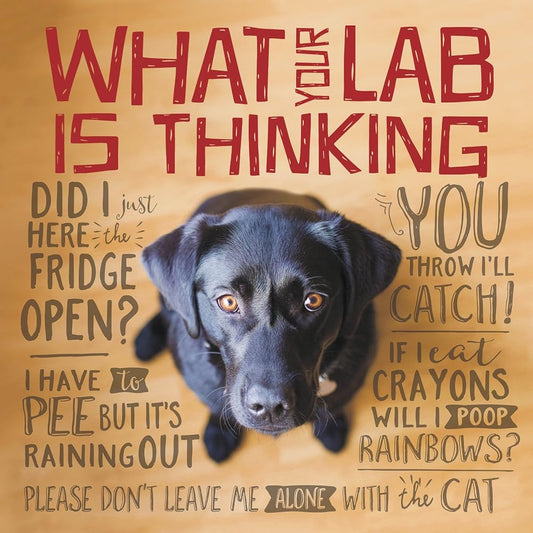 What Your Lab is Thinking cover image