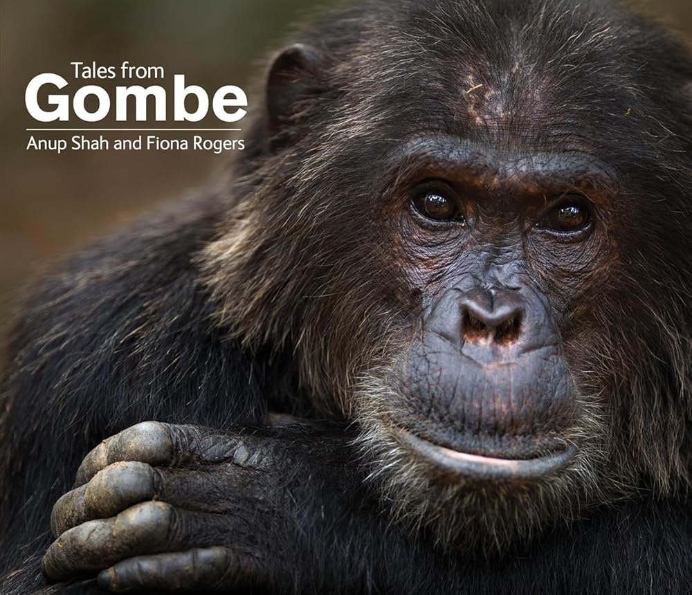 Tales From Gombe cover image