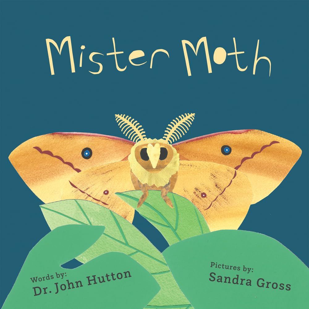Mister Moth cover image