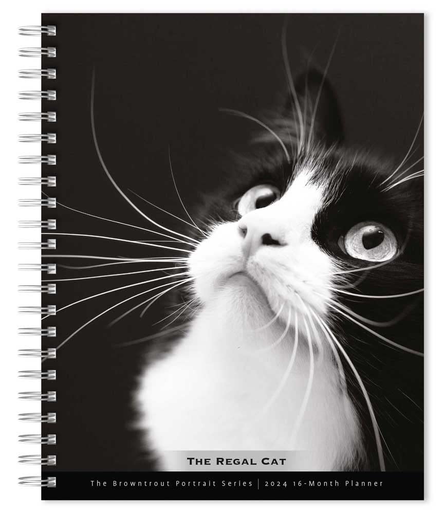 The BrownTrout Portrait Series: The Regal Cat | 2024 6 x 7.75 Inch Spiral-Bound Wire-O Weekly Engagement Planner Calendar | New Full-Color Image Every Week | Pet Kitten Feline cover image