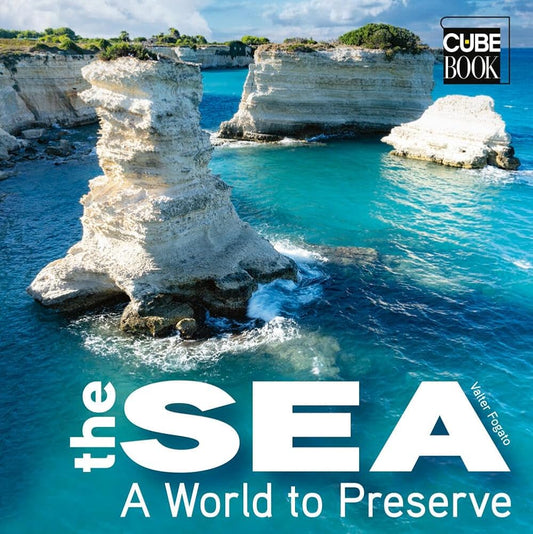 The Sea: A World to Preserve (CubeBook) cover image
