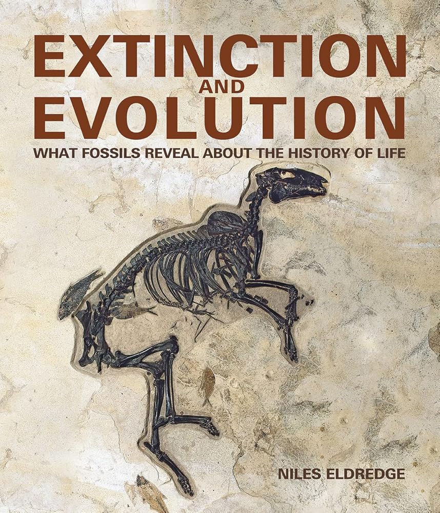 Extinction and Evolution: What Fossils Reveal About the History of Life cover image