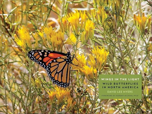 Wings in the Light: Wild Butterflies in North America cover image